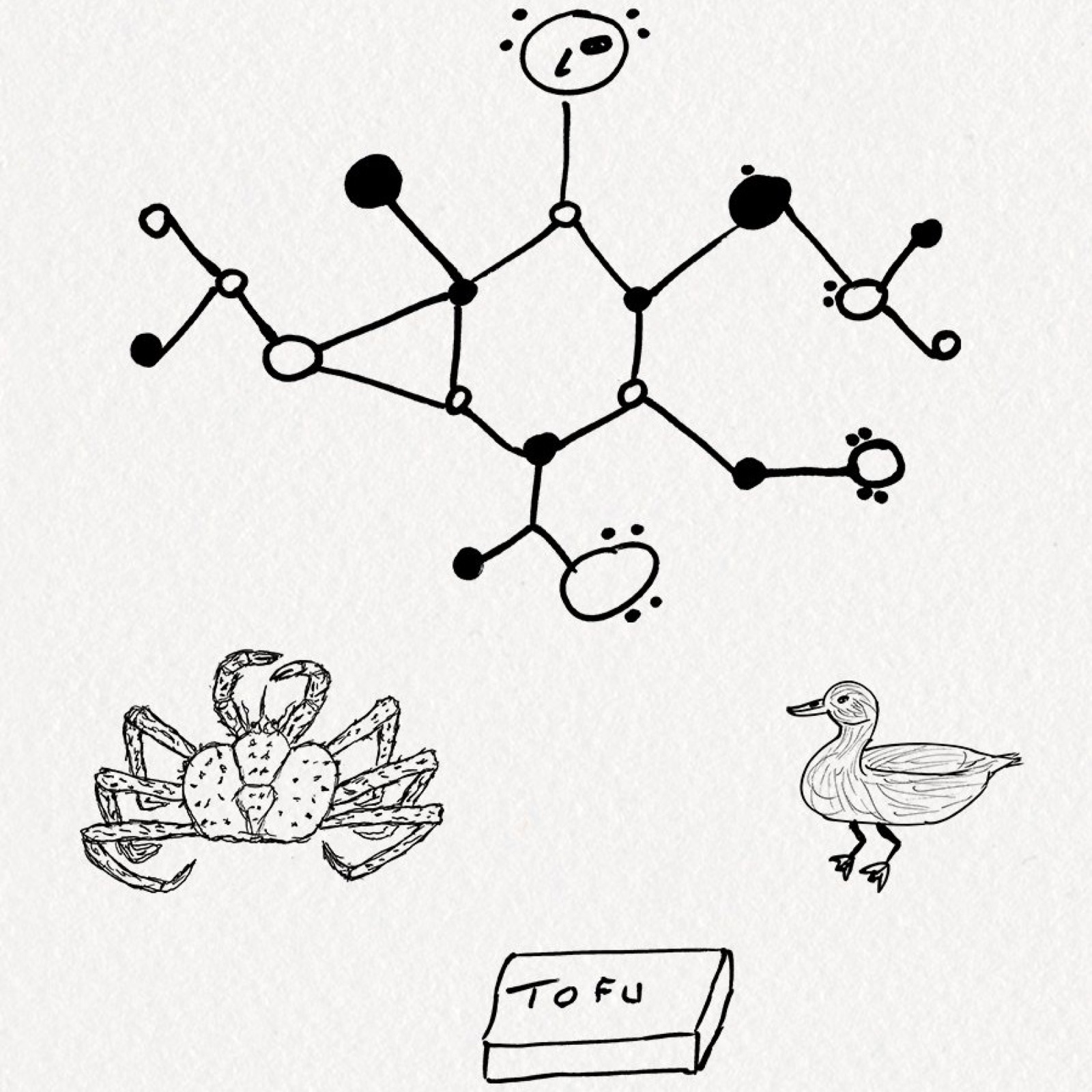 Jérôme Tauvron — flavour composition sketch: molecule, crab, duck, tofu