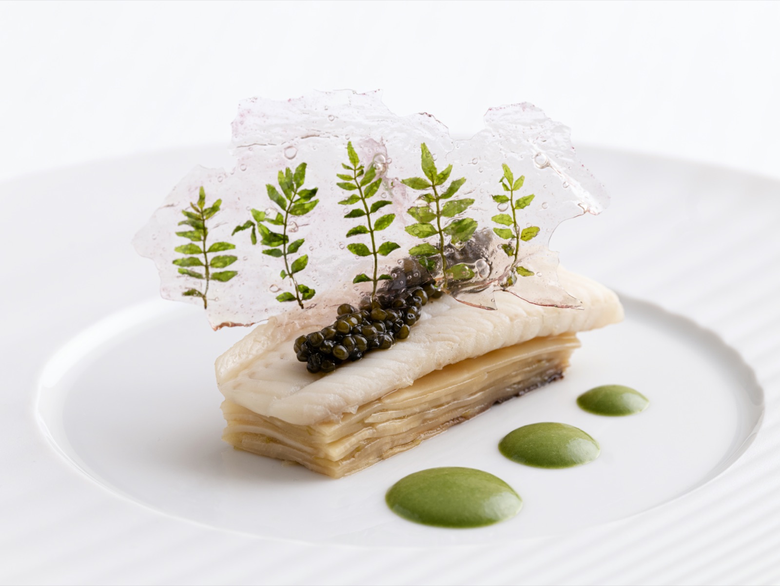 Sole Babylon — Dover sole with caviar, apple, celeriac and Osietra — LUMIÈRES JéJé signature dish